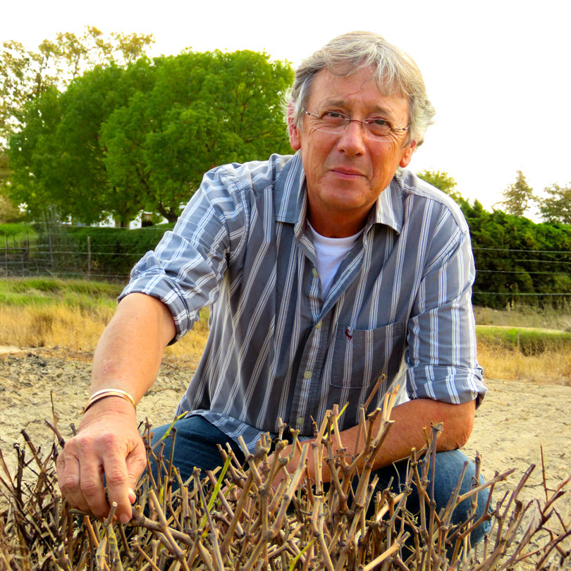 Photo of Dawid Le Roux, the owner of Cape Vines Wellington