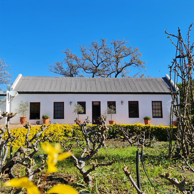Photo of the Cape Vines Wellington Building